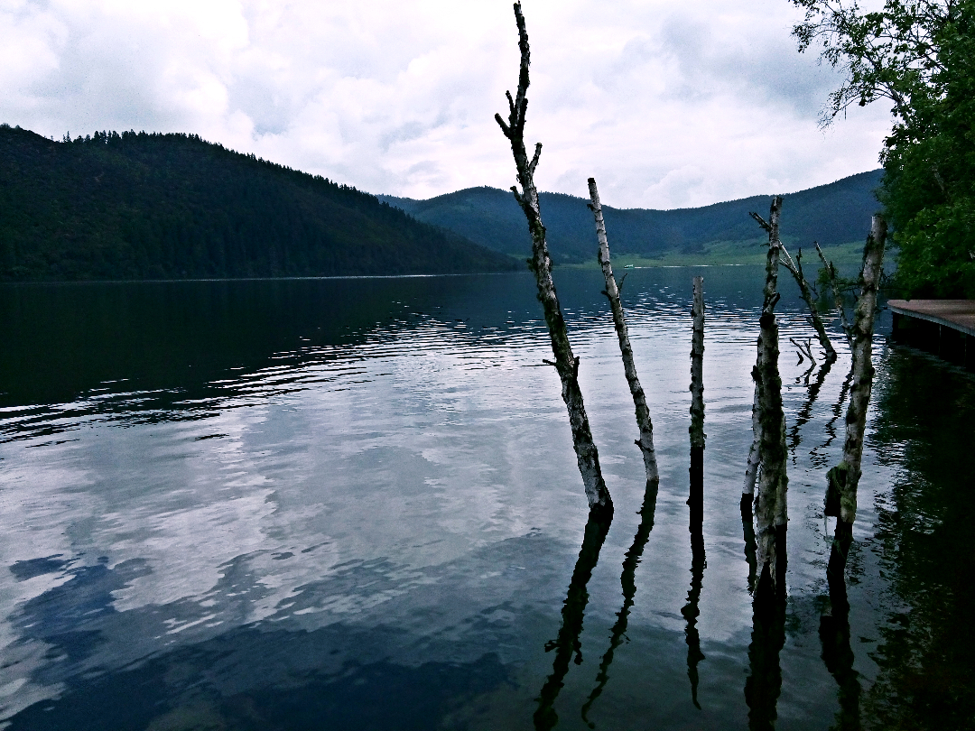 若梦0124的个人主页（封面预览） - 主页封面设置 - 站酷设计师若梦0124原创素材 - 站酷ZCOOL