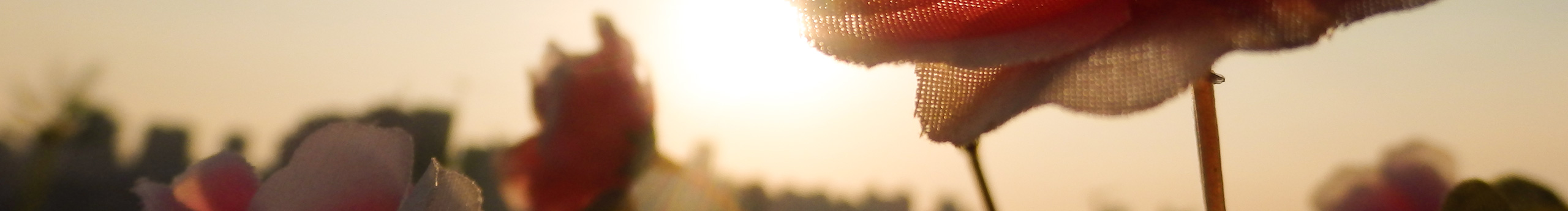 HELENE0419的个人主页（封面预览） - 主页封面设置 - 站酷设计师HELENE0419原创素材 - 站酷ZCOOL