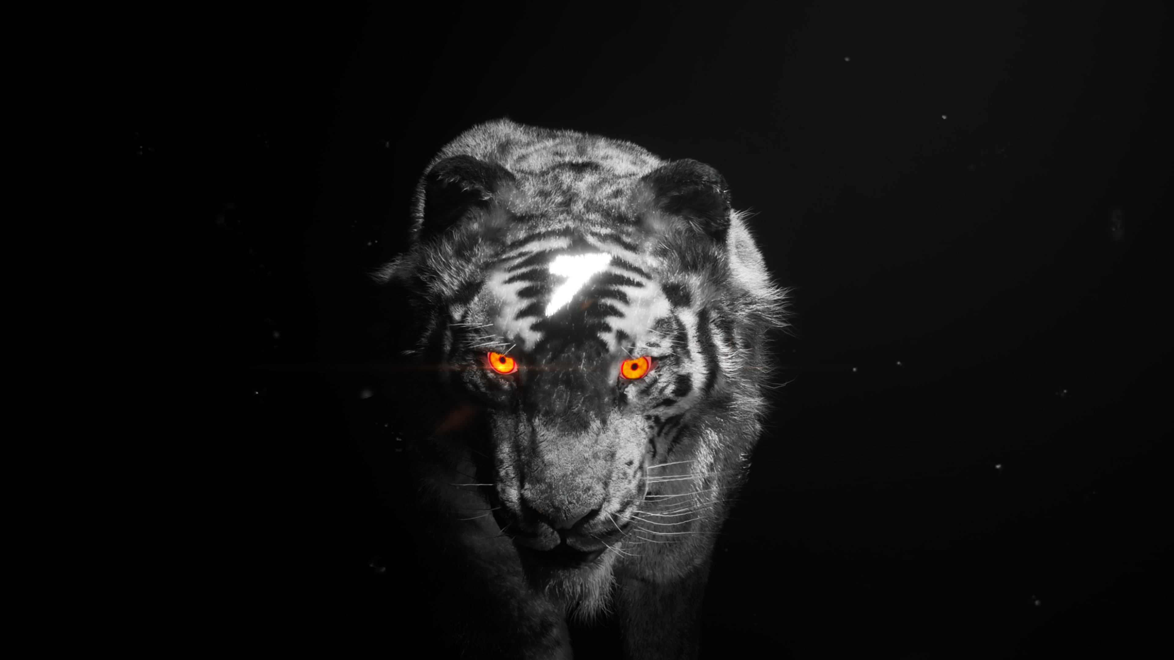 七腾设计中心的个人主页（封面预览） - 主页封面设置 - 站酷设计师七腾设计中心原创素材 - 站酷ZCOOL