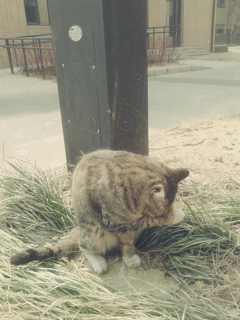 小白菜W的個人主頁（封面預(yù)覽） - 主頁封面設(shè)置 - 站酷設(shè)計師小白菜W原創(chuàng)素材 - 站酷ZCOOL