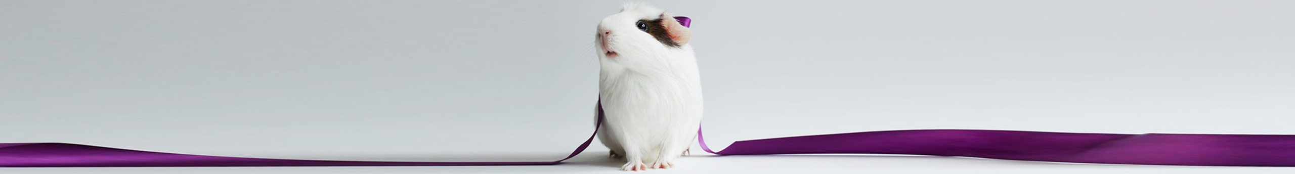 Hana132的個人主頁（封面預(yù)覽） - 主頁封面設(shè)置 - 站酷設(shè)計(jì)師Hana132原創(chuàng)素材 - 站酷ZCOOL