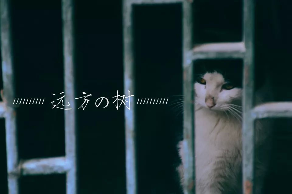 Rihiyo的個人主頁（封面預(yù)覽） - 主頁封面設(shè)置 - 站酷設(shè)計師Rihiyo原創(chuàng)素材 - 站酷ZCOOL