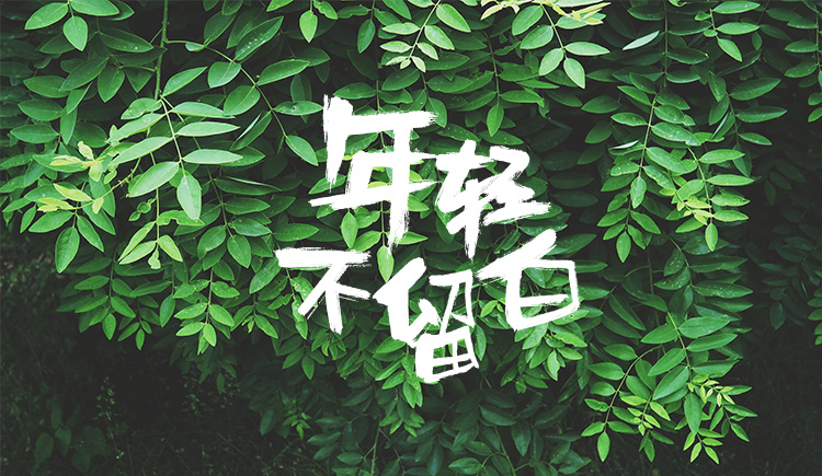 路乾龙的个人主页（封面预览） - 主页封面设置 - 站酷设计师路乾龙原创素材 - 站酷ZCOOL