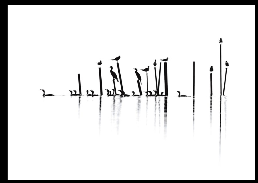 紅巾起義的個人主頁（封面預(yù)覽） - 主頁封面設(shè)置 - 站酷設(shè)計師紅巾起義原創(chuàng)素材 - 站酷ZCOOL