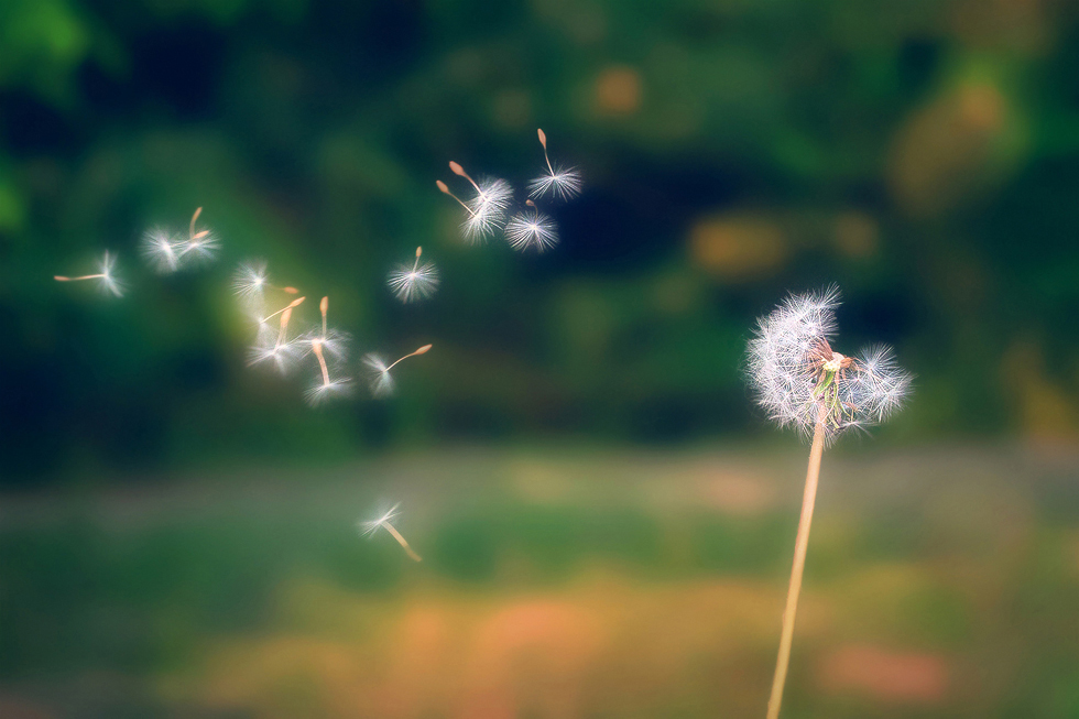 暮夕颜的个人主页（封面预览） - 主页封面设置 - 站酷设计师暮夕颜原创素材 - 站酷ZCOOL