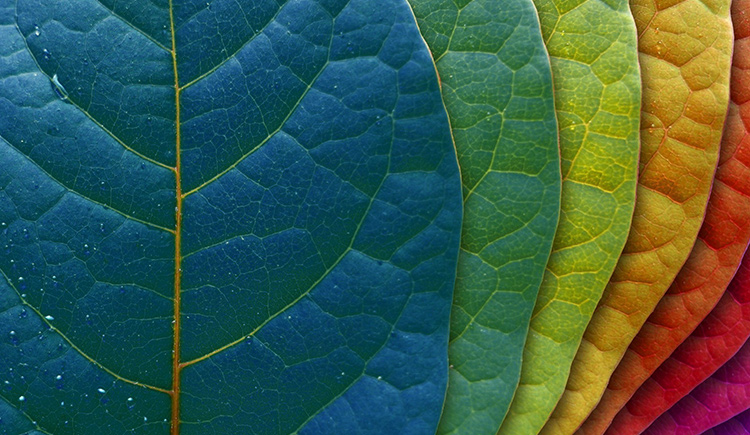 nianer的個(gè)人主頁（封面預(yù)覽） - 主頁封面設(shè)置 - 站酷設(shè)計(jì)師nianer原創(chuàng)素材 - 站酷ZCOOL