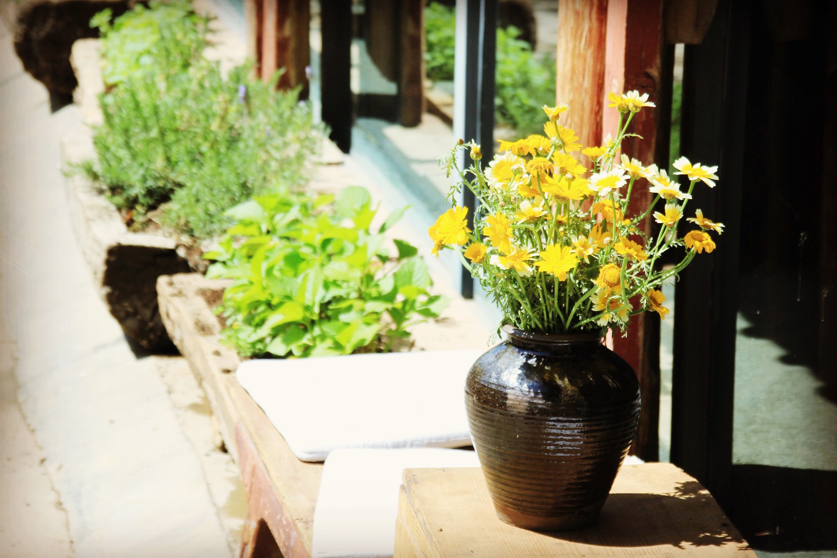 猪加零anqi的个人主页（封面预览） - 主页封面设置 - 站酷设计师猪加零anqi原创素材 - 站酷ZCOOL