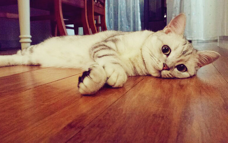 用户名0920的个人主页（封面预览） - 主页封面设置 - 站酷设计师用户名0920原创素材 - 站酷ZCOOL