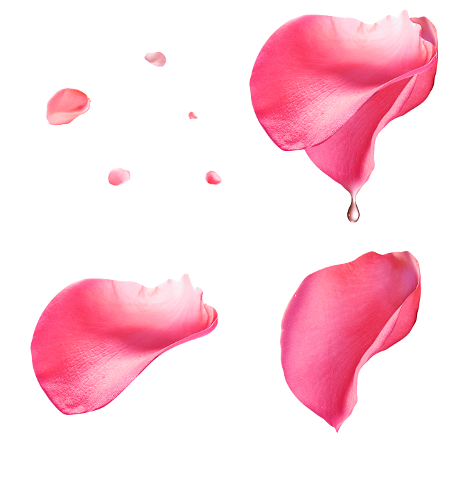 馮蜻蜓的個(gè)人主頁(yè)（封面預(yù)覽） - 主頁(yè)封面設(shè)置 - 站酷設(shè)計(jì)師馮蜻蜓原創(chuàng)素材 - 站酷ZCOOL