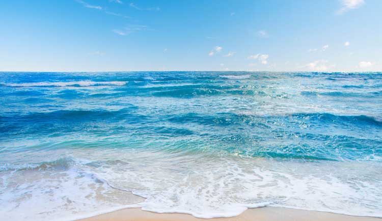 藤野先生的個(gè)人主頁（封面預(yù)覽） - 主頁封面設(shè)置 - 站酷設(shè)計(jì)師藤野先生原創(chuàng)素材 - 站酷ZCOOL