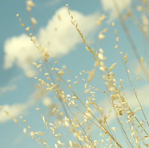 pei_的個人主頁（封面預(yù)覽） - 主頁封面設(shè)置 - 站酷設(shè)計(jì)師pei_原創(chuàng)素材 - 站酷ZCOOL