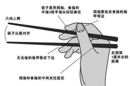 AMpong的个人主页（封面预览） - 主页封面设置 - 站酷设计师AMpong原创素材 - 站酷ZCOOL