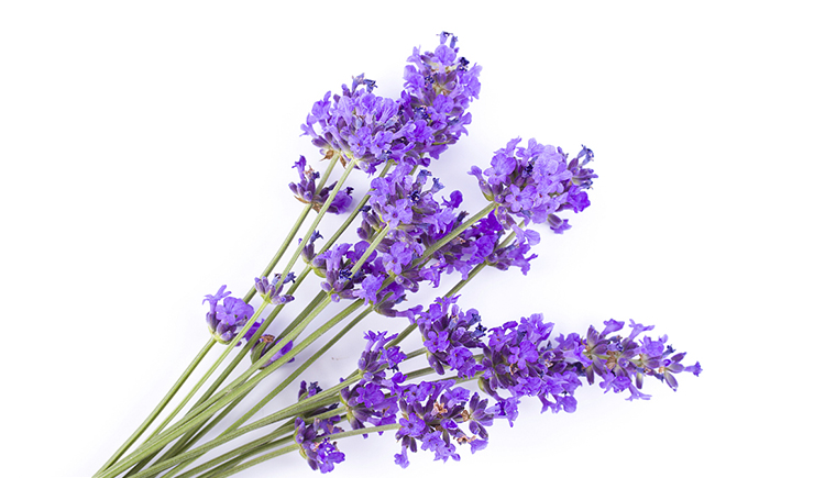 依云coolgirl的个人主页（封面预览） - 主页封面设置 - 站酷设计师依云coolgirl原创素材 - 站酷ZCOOL