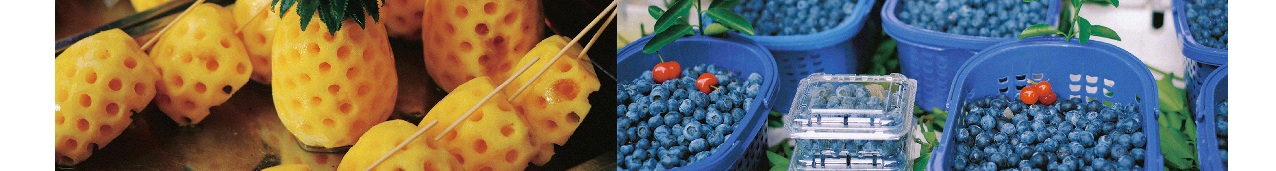 anker安科的個人主頁（封面預(yù)覽） - 主頁封面設(shè)置 - 站酷設(shè)計師anker安科原創(chuàng)素材 - 站酷ZCOOL