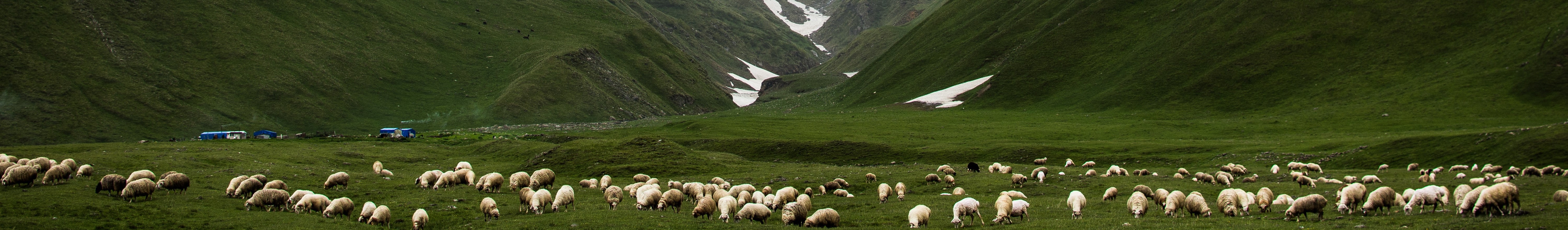 闹海小树的个人主页（封面预览） - 主页封面设置 - 站酷设计师闹海小树原创素材 - 站酷ZCOOL