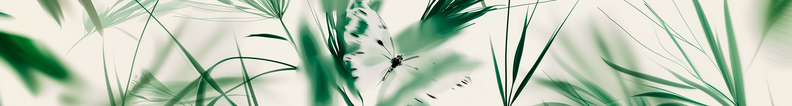 薛菲XFAIR的個人主頁（封面預覽） - 主頁封面設置 - 站酷設計師薛菲XFAIR原創(chuàng)素材 - 站酷ZCOOL