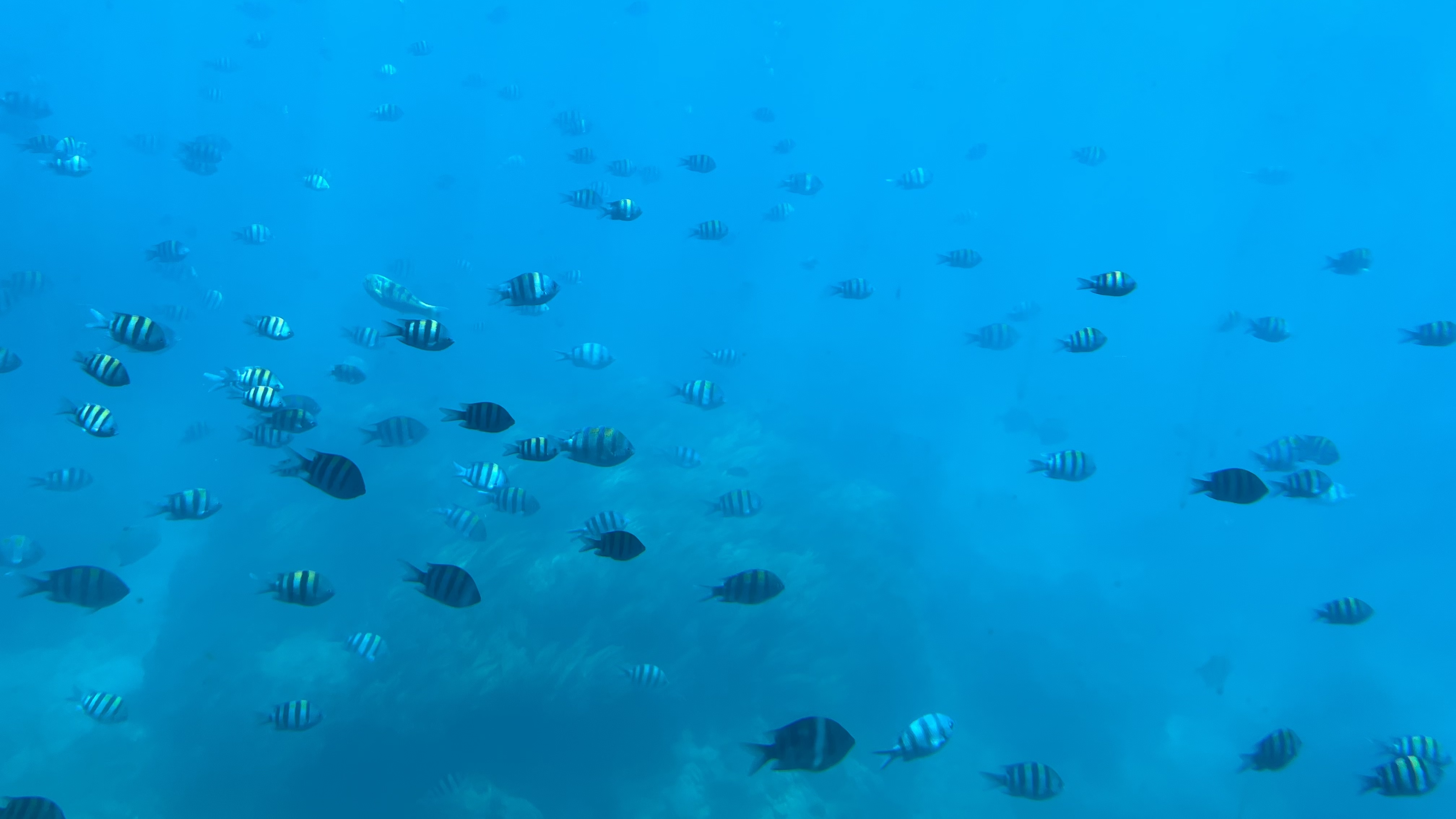 脱脂丸子的个人主页（封面预览） - 主页封面设置 - 站酷设计师脱脂丸子原创素材 - 站酷ZCOOL