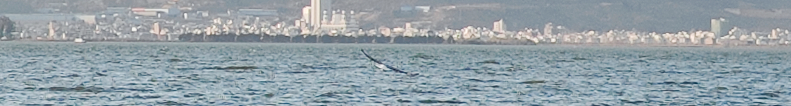 黎静JaneDong的个人主页（封面预览） - 主页封面设置 - 站酷设计师黎静JaneDong原创素材 - 站酷ZCOOL