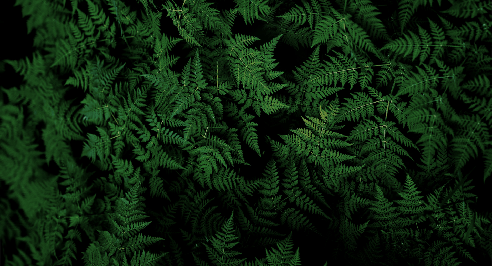 我吃桃子的个人主页（封面预览） - 主页封面设置 - 站酷设计师我吃桃子原创素材 - 站酷ZCOOL