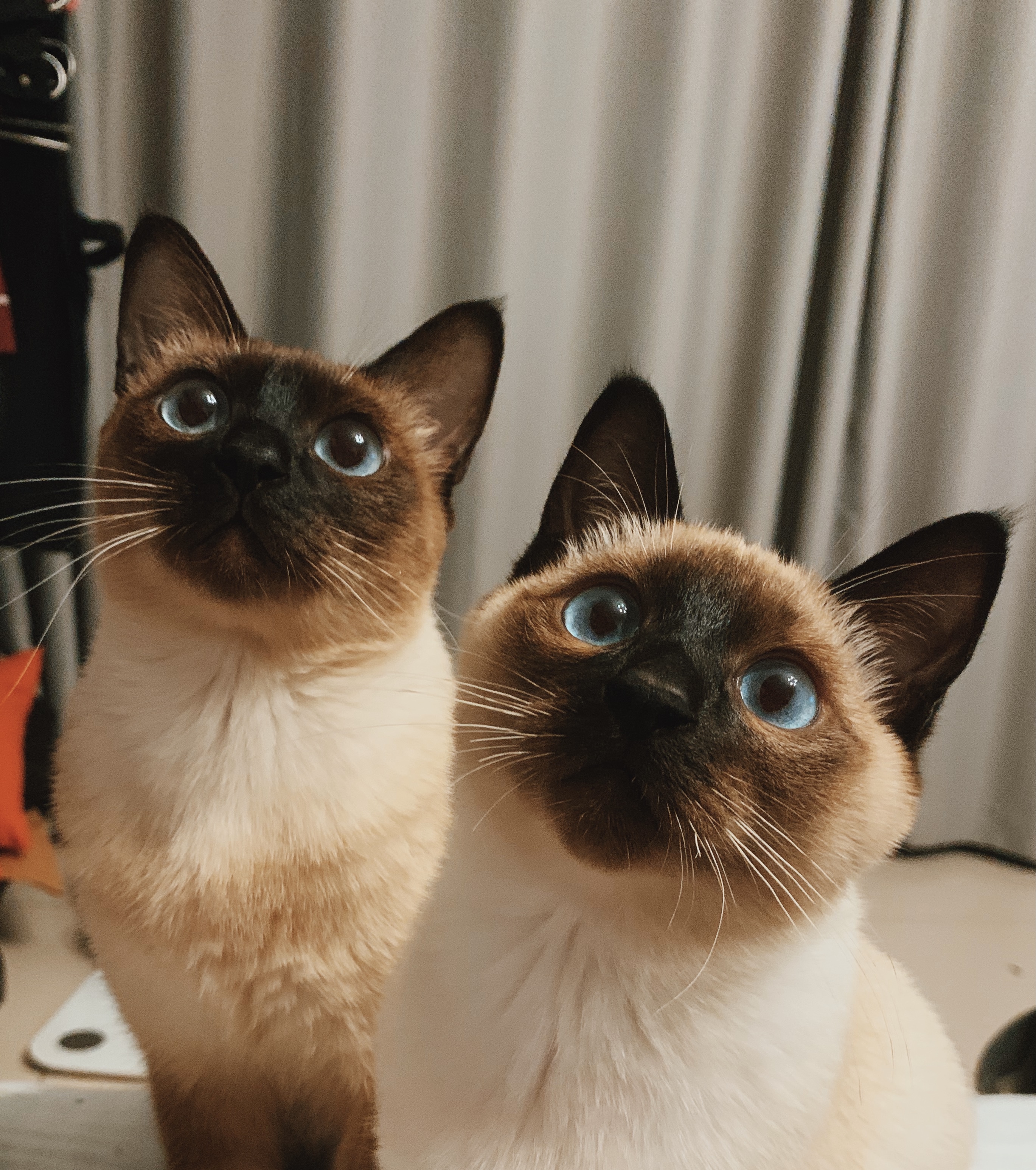 Geek大璐的个人主页（封面预览） - 主页封面设置 - 站酷设计师Geek大璐原创素材 - 站酷ZCOOL