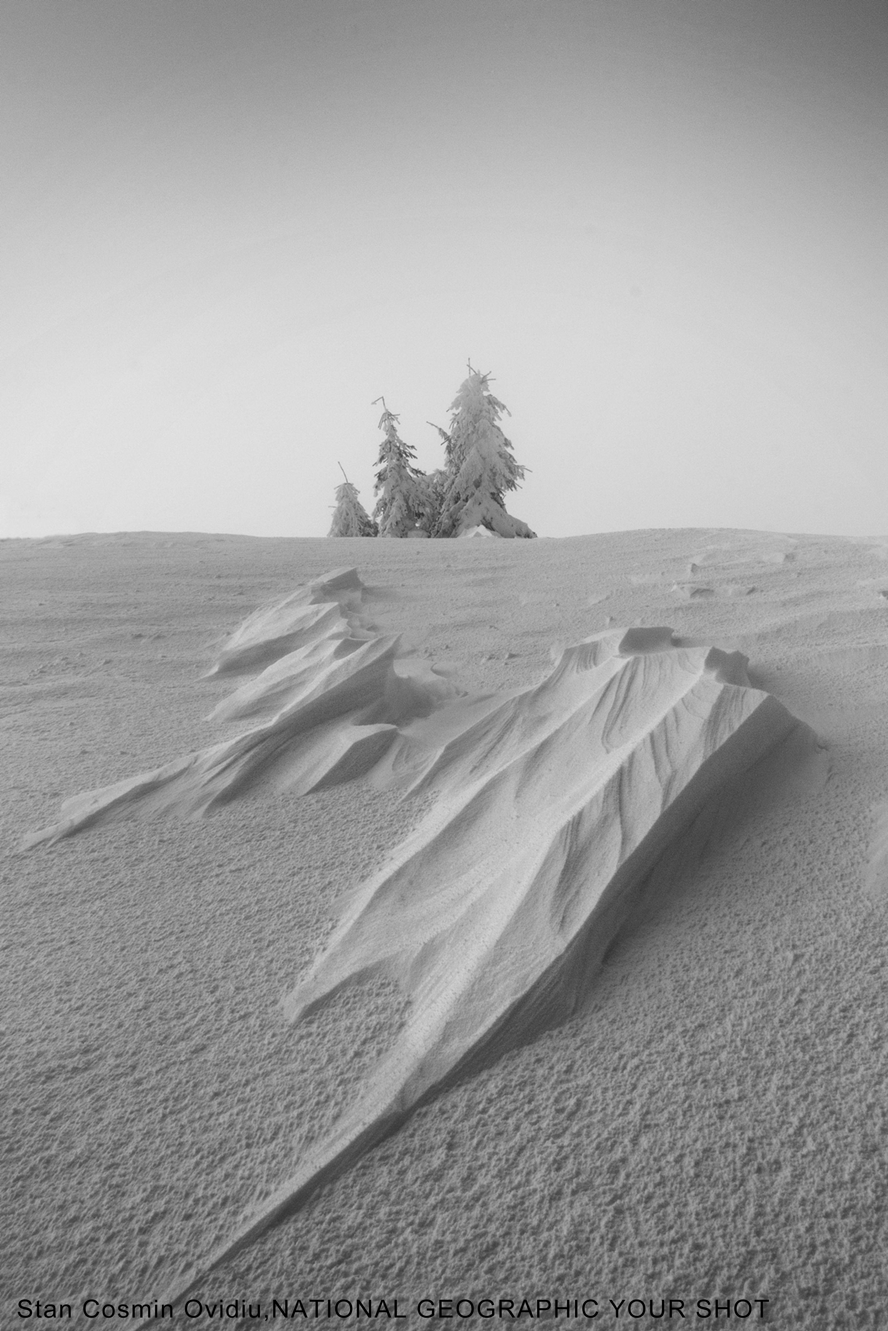 fu2mosi的个人主页（封面预览） - 主页封面设置 - 站酷设计师fu2mosi原创素材 - 站酷ZCOOL