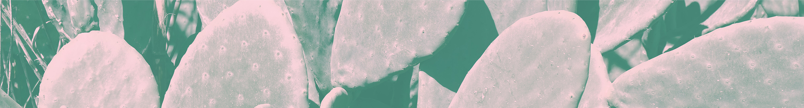 NaYoung的个人主页（封面预览） - 主页封面设置 - 站酷设计师NaYoung原创素材 - 站酷ZCOOL