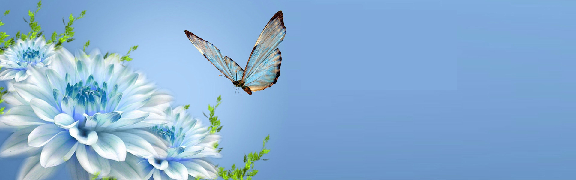 W楊雪的個人主頁（封面預(yù)覽） - 主頁封面設(shè)置 - 站酷設(shè)計師W楊雪原創(chuàng)素材 - 站酷ZCOOL