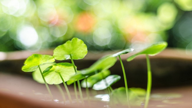 zhangdianxin的個人主頁（封面預覽） - 主頁封面設置 - 站酷設計師zhangdianxin原創(chuàng)素材 - 站酷ZCOOL