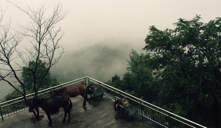 youleigang的個人主頁（封面預覽） - 主頁封面設置 - 站酷設計師youleigang原創(chuàng)素材 - 站酷ZCOOL