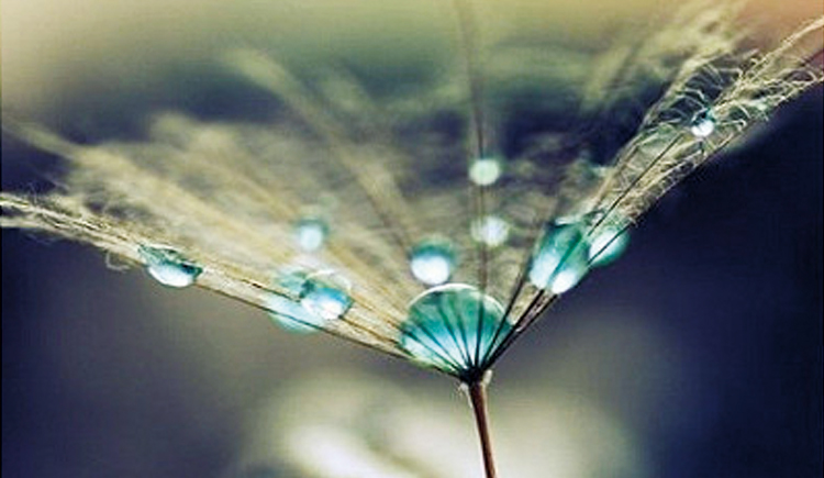 sweet豆豆泥的个人主页（封面预览） - 主页封面设置 - 站酷设计师sweet豆豆泥原创素材 - 站酷ZCOOL