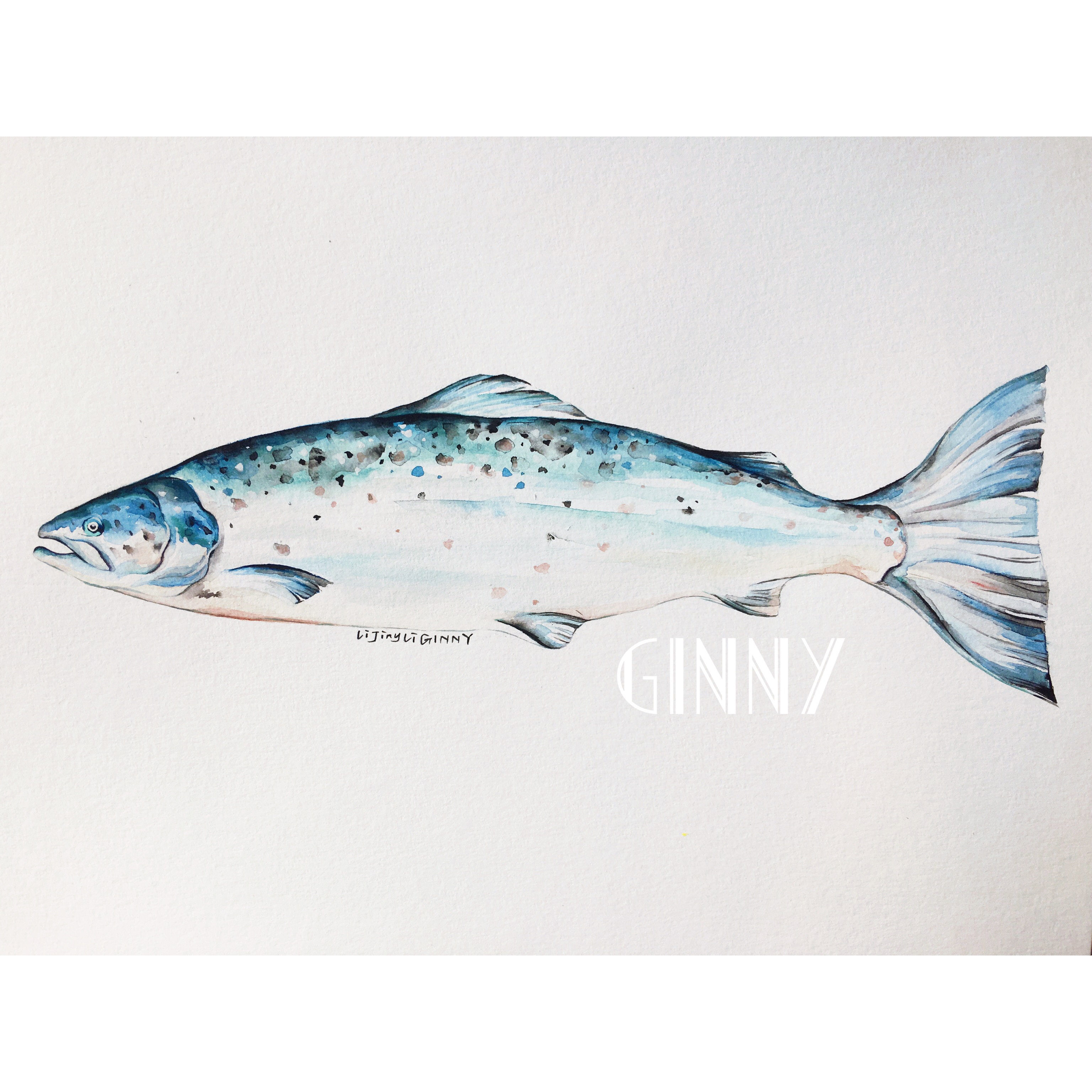 狸猫跳的个人主页（封面预览） - 主页封面设置 - 站酷设计师狸猫跳原创素材 - 站酷ZCOOL