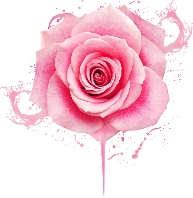 KATTY梅的個(gè)人主頁（封面預(yù)覽） - 主頁封面設(shè)置 - 站酷設(shè)計(jì)師KATTY梅原創(chuàng)素材 - 站酷ZCOOL