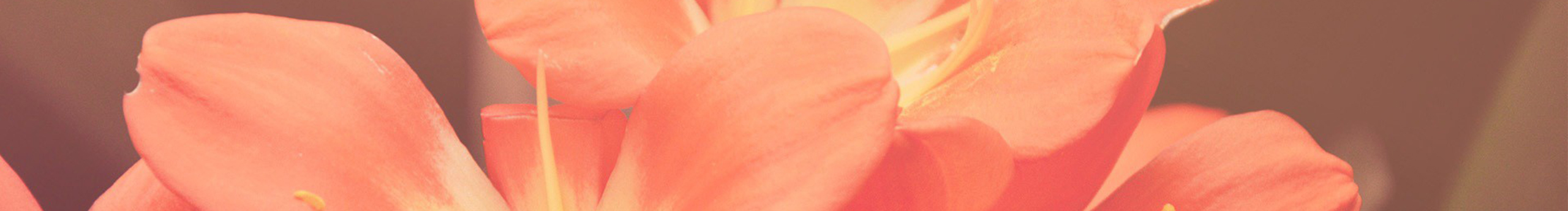 烟箩婉梦的个人主页（封面预览） - 主页封面设置 - 站酷设计师烟箩婉梦原创素材 - 站酷ZCOOL