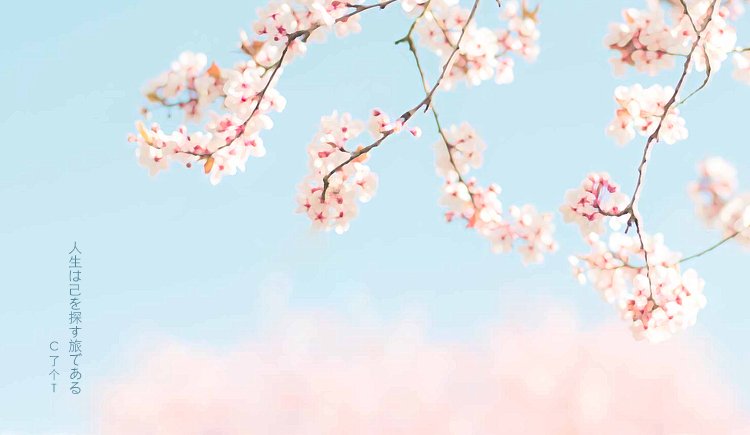 C了个T的个人主页（封面预览） - 主页封面设置 - 站酷设计师C了个T原创素材 - 站酷ZCOOL