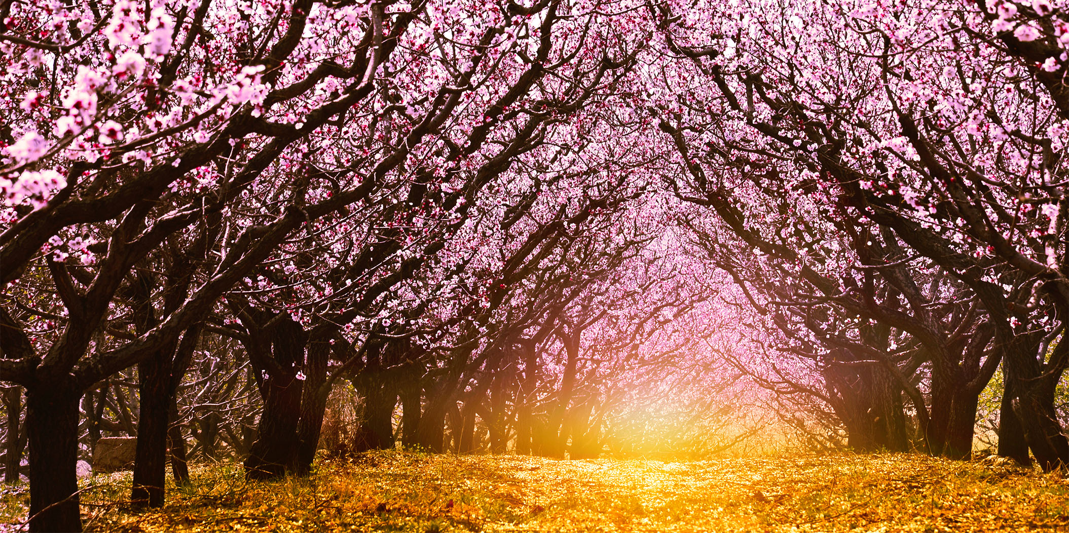 洞庭湖的个人主页（封面预览） - 主页封面设置 - 站酷设计师洞庭湖原创素材 - 站酷ZCOOL