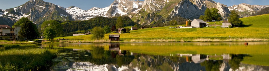 随心遂易的个人主页（封面预览） - 主页封面设置 - 站酷设计师随心遂易原创素材 - 站酷ZCOOL