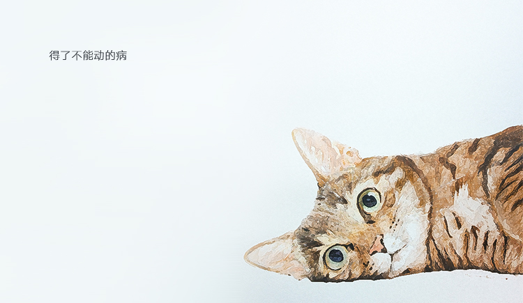 iCCCing的个人主页（封面预览） - 主页封面设置 - 站酷设计师iCCCing原创素材 - 站酷ZCOOL