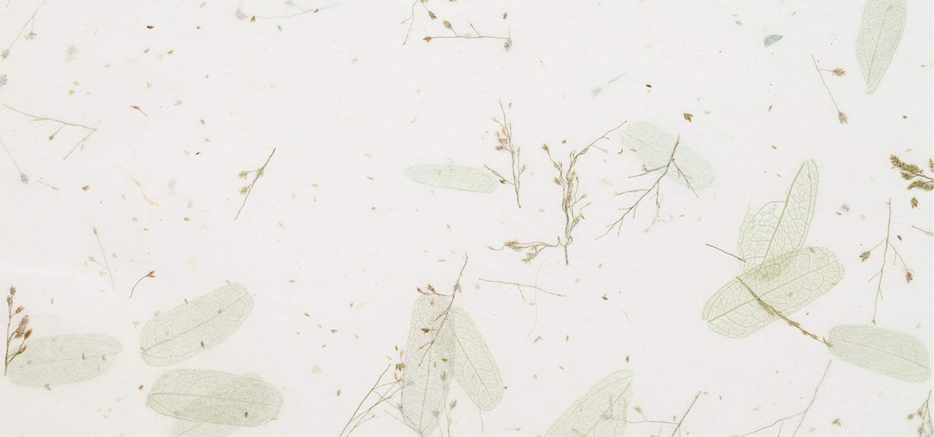 BobobiFairy的個(gè)人主頁(yè)（封面預(yù)覽） - 主頁(yè)封面設(shè)置 - 站酷設(shè)計(jì)師BobobiFairy原創(chuàng)素材 - 站酷ZCOOL