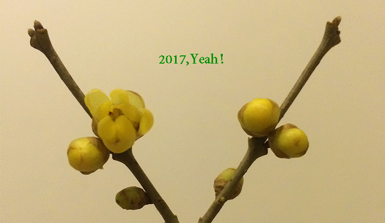 庫拉柚子皮的個(gè)人主頁（封面預(yù)覽） - 主頁封面設(shè)置 - 站酷設(shè)計(jì)師庫拉柚子皮原創(chuàng)素材 - 站酷ZCOOL