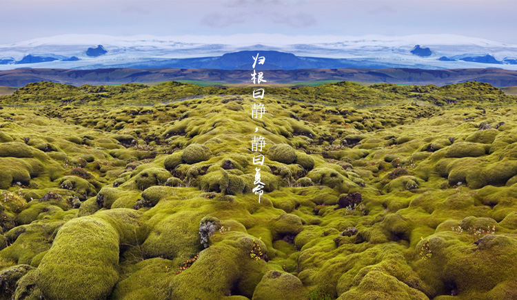 魏先生叫阿杰的个人主页（封面预览） - 主页封面设置 - 站酷设计师魏先生叫阿杰原创素材 - 站酷ZCOOL