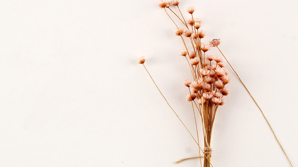 luojiaoann的个人主页（封面预览） - 主页封面设置 - 站酷设计师luojiaoann原创素材 - 站酷ZCOOL