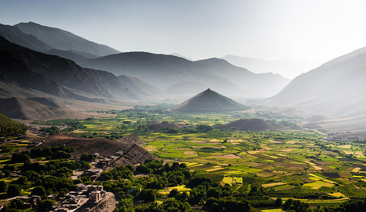 康娃6的个人主页（封面预览） - 主页封面设置 - 站酷设计师康娃6原创素材 - 站酷ZCOOL