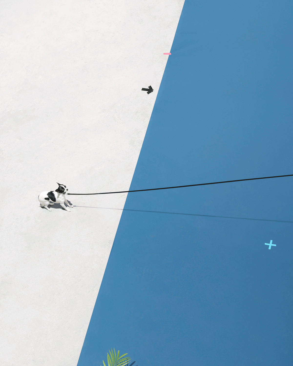 nigoliu的个人主页（封面预览） - 主页封面设置 - 站酷设计师nigoliu原创素材 - 站酷ZCOOL