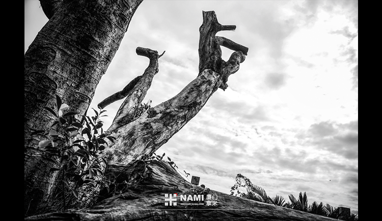 小井思大林的个人主页（封面预览） - 主页封面设置 - 站酷设计师小井思大林原创素材 - 站酷ZCOOL