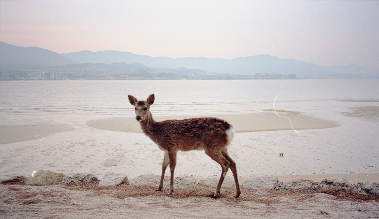 脸儿刘的个人主页（封面预览） - 主页封面设置 - 站酷设计师脸儿刘原创素材 - 站酷ZCOOL