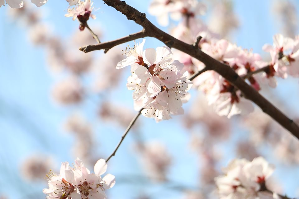 yn6810708的个人主页（封面预览） - 主页封面设置 - 站酷设计师yn6810708原创素材 - 站酷ZCOOL