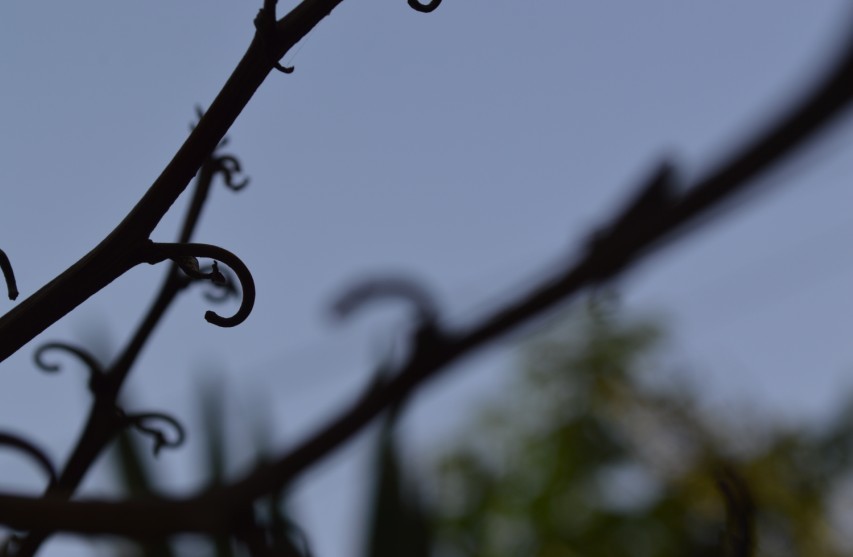 弓长章的个人主页（封面预览） - 主页封面设置 - 站酷设计师弓长章原创素材 - 站酷ZCOOL