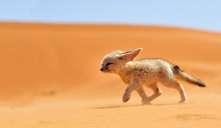 py674322的个人主页（封面预览） - 主页封面设置 - 站酷设计师py674322原创素材 - 站酷ZCOOL