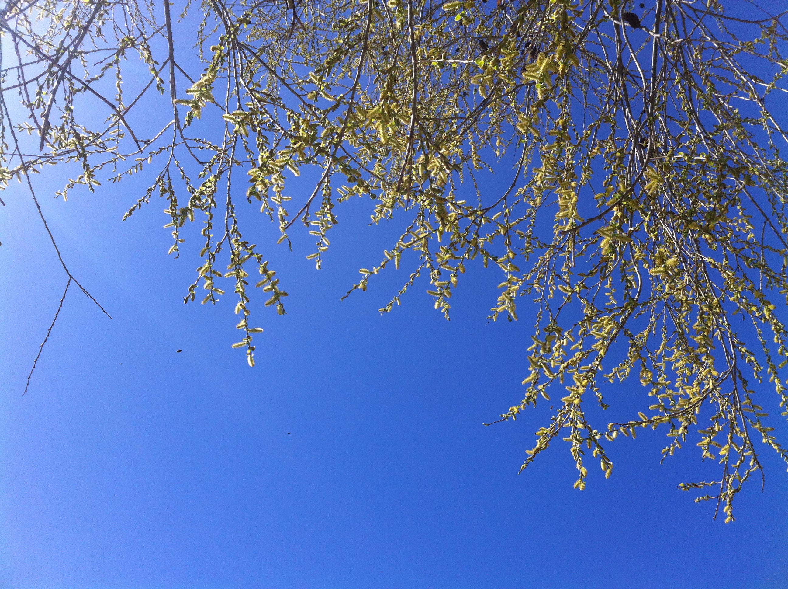 日尧丰色的个人主页（封面预览） - 主页封面设置 - 站酷设计师日尧丰色原创素材 - 站酷ZCOOL