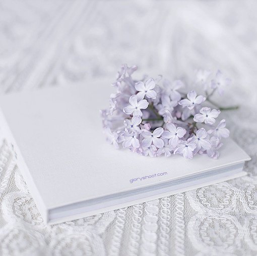 苏滛的个人主页（封面预览） - 主页封面设置 - 站酷设计师苏滛原创素材 - 站酷ZCOOL